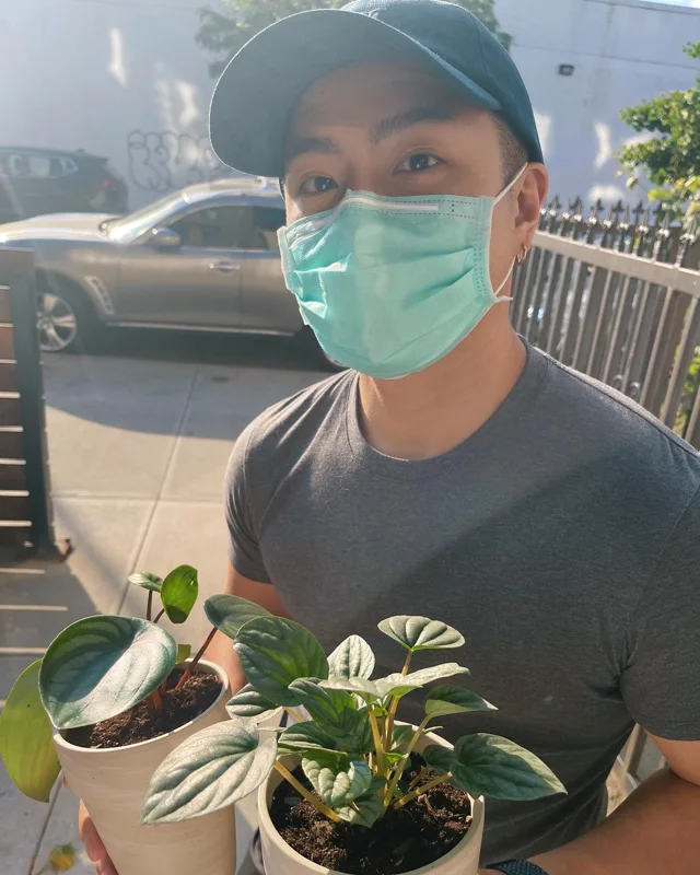 Bringing some green home